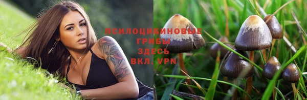 амф Магадан